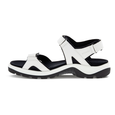 Offroad W